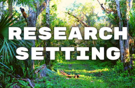research setting